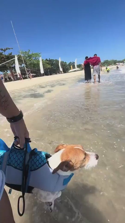 SharkPup Dog Life Vest Overview: PET LIFEJACKET WITH HIGH BUOYANCY - The life jacket is made of ripstop Oxford cloth. The body of the pet life vest is filled with EPE and the belly is made of diving fabric so that the pet lifejacket supplies high buoyancy