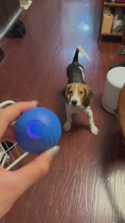 SnackSmart™ Smart Bouncing Dog Ball – Fun, Exercise & Mental Stimulation in One! Keep your pup entertained and active with our Smart Jumping Ball for Dogs – the ultimate boredom buster that combines interactive play, safe materials, and vibrant colors to