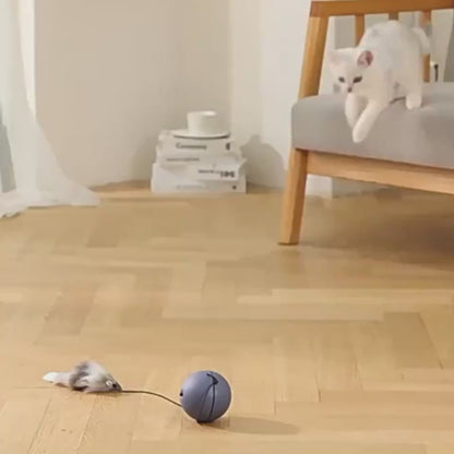 ChaseMate Overview: [Durable And Safe] - Made of ABS and plush materials to ensure pet health and safety. [Mouse Design] - Comes with a plush mouse to stimulate the cat's hunting nature, improving curiosity and increasing interaction. [Stress Reduction] -