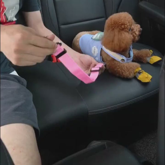 SureGrip Dog Strap Keep Your Pet Safe and Secure While You Drive! ✔️ Key Benefits: Simple & Quick to Use Just clip one end of the seatbelt to your pet’s harness, and snap the other into your car’s seatbelt buckle—just like a regular seatbelt! Its adjustab