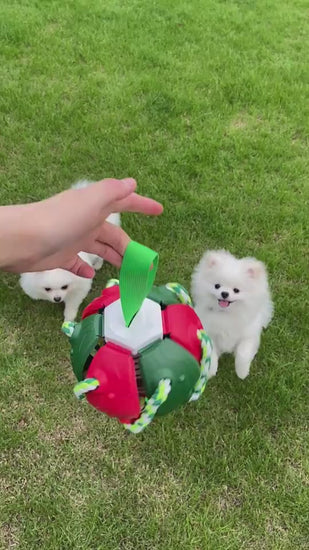 PawKick™ 2-in-1 Frisbee Ball Dog Toy – Bounce, Chew, Tug, and Play Anywhere! Take fetch and tug-of-war to the next level with this super creative transforming Frisbee Ball! Whether it’s flying high through the air or bouncing back into a sphere mid-flight