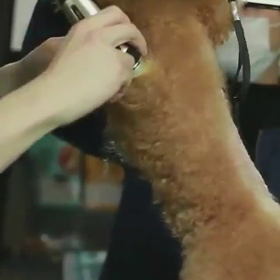 ProTrim™ – Professional Pet Hair Clipper for Dogs & Cats Overview: 1. The blade is sharp and not jammed, durable and non-heating 2. Long-lasting battery life and more durable 3. Ceramic cutter head, strong and low shock without catching hair, rechargeable