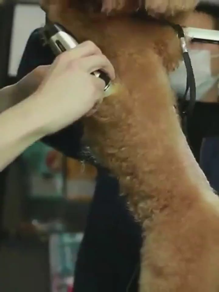 ProTrim™ – Professional Pet Hair Clipper for Dogs & Cats Overview: 1. The blade is sharp and not jammed, durable and non-heating 2. Long-lasting battery life and more durable 3. Ceramic cutter head, strong and low shock without catching hair, rechargeable