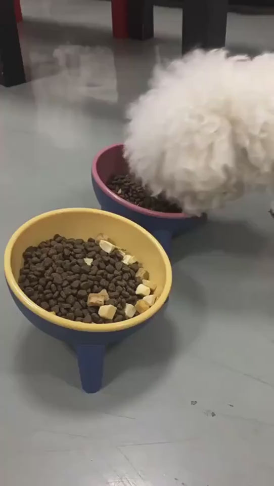 FurDine Colorful Feeder Overview: 1. Tough daily, the naughty master can't break Food grade material, safe and non-toxic, high-temperature resistance, high material hardness, not fragile compared to ordinary ceramic cat bowls 2. 15° tilt design, it’s not