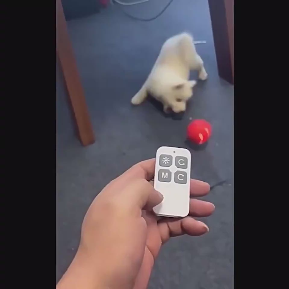 WickedWhirl™ Overview: 1. Made of high-quality material, the ball is eco-friendly and non-toxic, durable and scratch-resistant, and safe for your pets to bite and chew on. 2. It can roll around randomly and automatically change its direction so it is inte