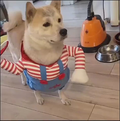 BooPup Halloween Costume Overview: 1. Asian sizes are 1 to 2 sizes smaller than European and American people. Choose the larger size if your size is between two sizes. Please allow 2-3cm differences due to manual measurement. 2. Please check the size char