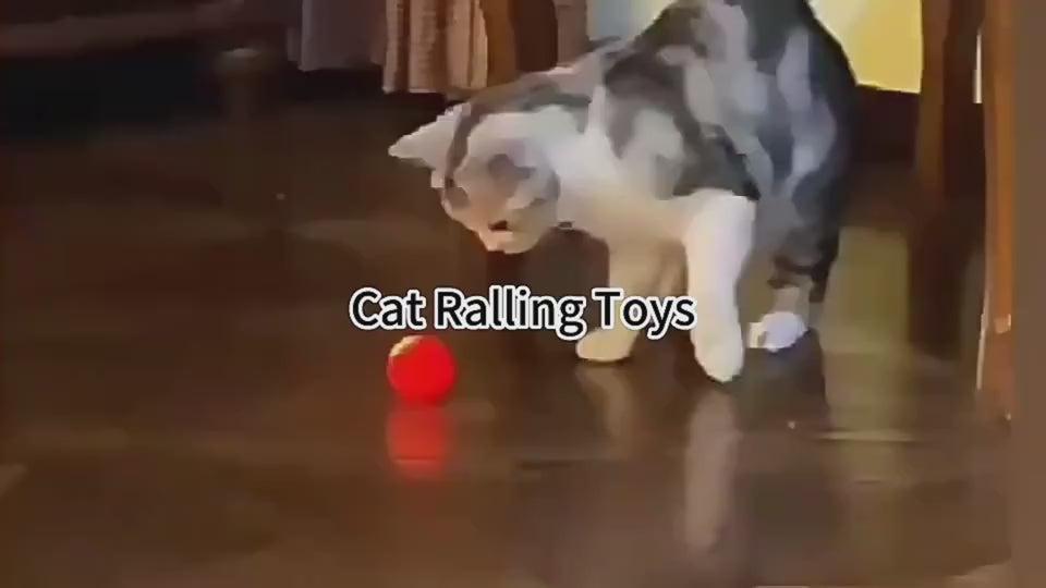 BounceBuddy™ Overview: 1. 100% Brand new and high quality. 2. Environmentally friendly and resistant to falling. 3. Automatic operation, let love pets put it down. Product Information: Color: blue, red, pink Material: Silicone Category: Pet Toys Packing L