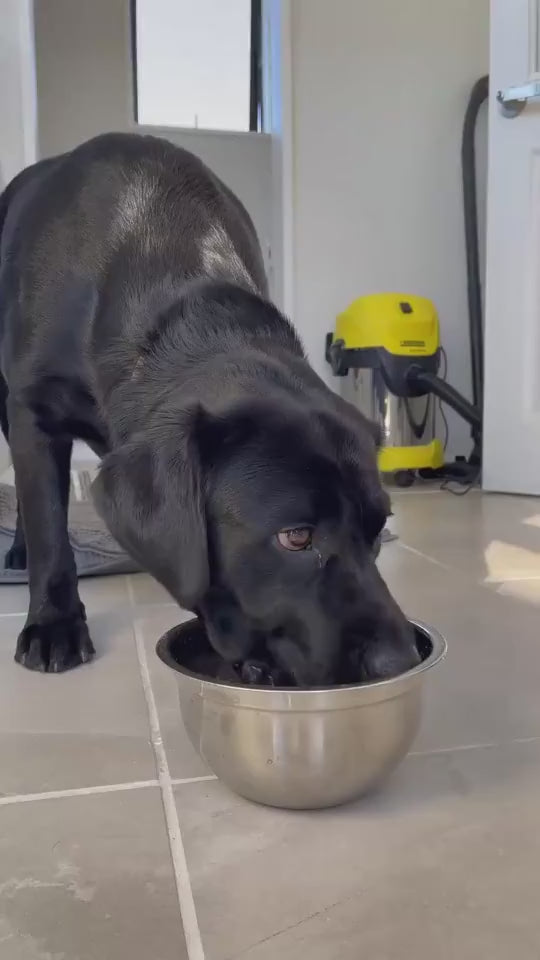 SpillSafe Pet Feeder Overview: 1.Extreme Large Capacity: With the dimension 8.8 x 7.2 x 2 inches, the bowl has a pretty large and practical capacity, about 35oz in total, which is enough for dogs to drink a whole day. 2.Double Anti-spill: The waterproof e