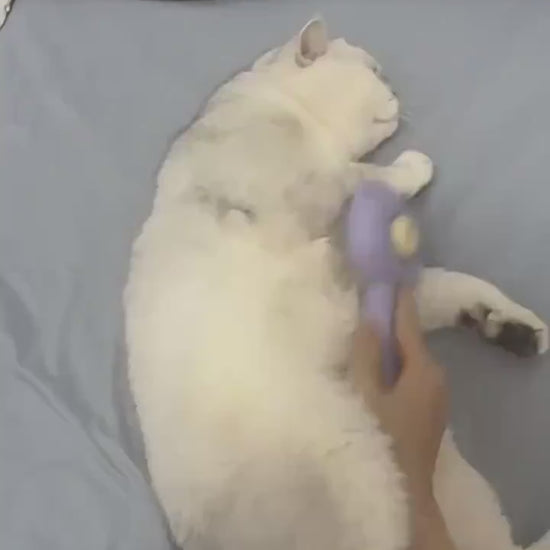 FurEase – Massage & Deshedding Comb for Cats & Dogs Make grooming a bonding moment with the FurEase™ Massage & Hair Removal Comb – the perfect 2-in-1 solution for gentle brushing and effective shedding control. Removes Loose Hair: Effectively captures and
