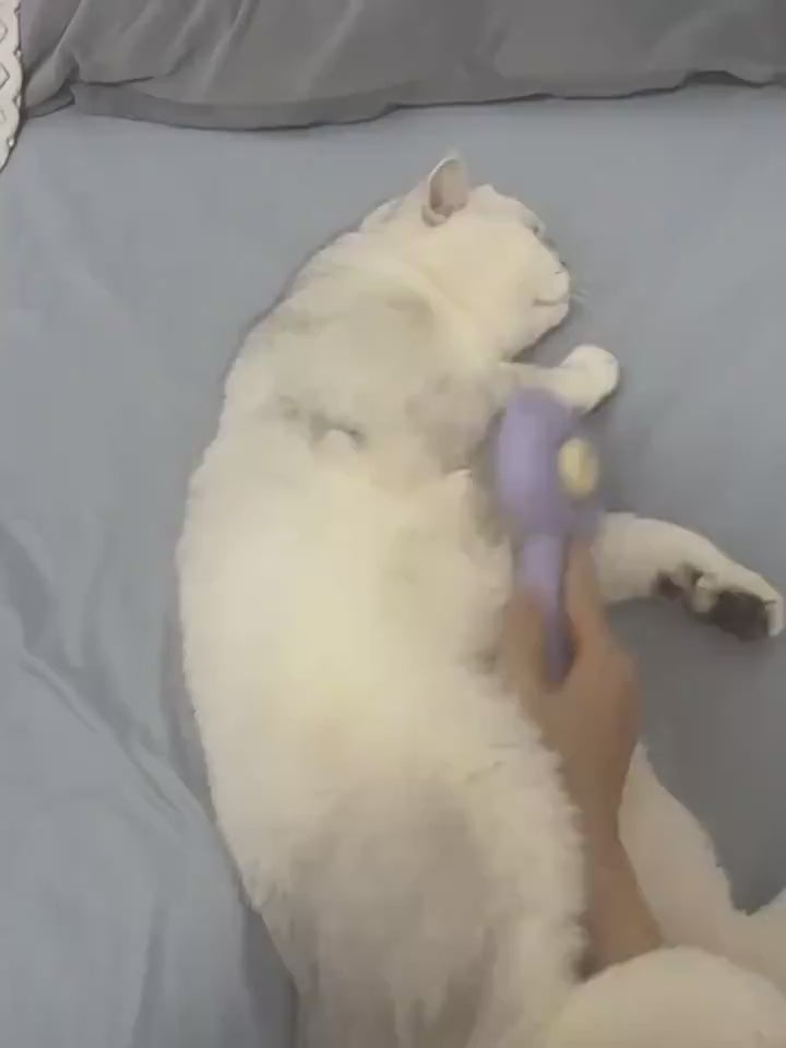 FurEase – Massage & Deshedding Comb for Cats & Dogs Make grooming a bonding moment with the FurEase™ Massage & Hair Removal Comb – the perfect 2-in-1 solution for gentle brushing and effective shedding control. Removes Loose Hair: Effectively captures and