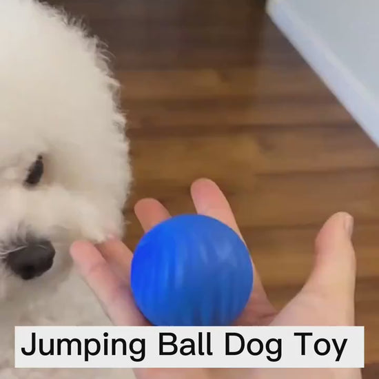 SnackSmart™ Smart Bouncing Dog Ball – Fun, Exercise & Mental Stimulation in One! Keep your pup entertained and active with our Smart Jumping Ball for Dogs – the ultimate boredom buster that combines interactive play, safe materials, and vibrant colors to