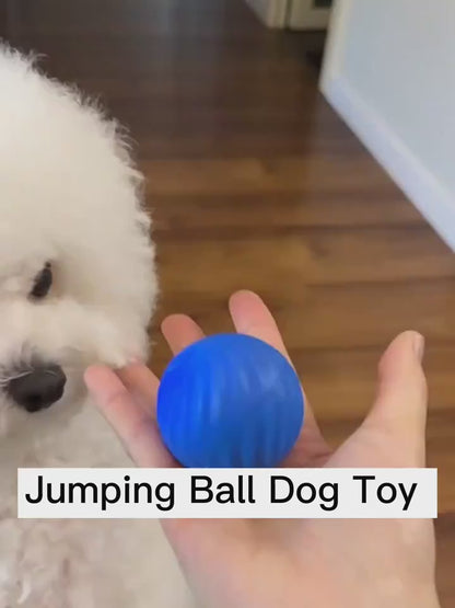 SnackSmart™ Smart Bouncing Dog Ball – Fun, Exercise & Mental Stimulation in One! Keep your pup entertained and active with our Smart Jumping Ball for Dogs – the ultimate boredom buster that combines interactive play, safe materials, and vibrant colors to