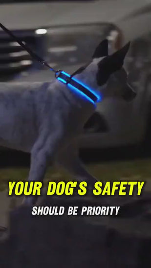 GlowPaw Overview 1. In order to prevent the light from flickering when pressed during delivery, we made a small plastic film to stop the switch. When you receive the collar, just remove this film and the light will work. introduce: 2. Nylon LED lighting d