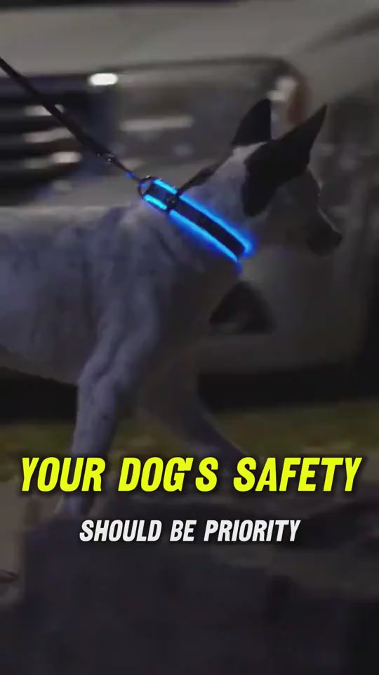 GlowPaw Overview 1. In order to prevent the light from flickering when pressed during delivery, we made a small plastic film to stop the switch. When you receive the collar, just remove this film and the light will work. introduce: 2. Nylon LED lighting d