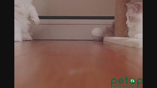 GlowChase Describe: 1. Two color mode design, unique red light mode and colorful light change mode, attract your kitten at any time. This cat toy has bells and feathers, which can stimulate the cat's hunting instinct. 2. Built-in cat's favorite catnip: Th