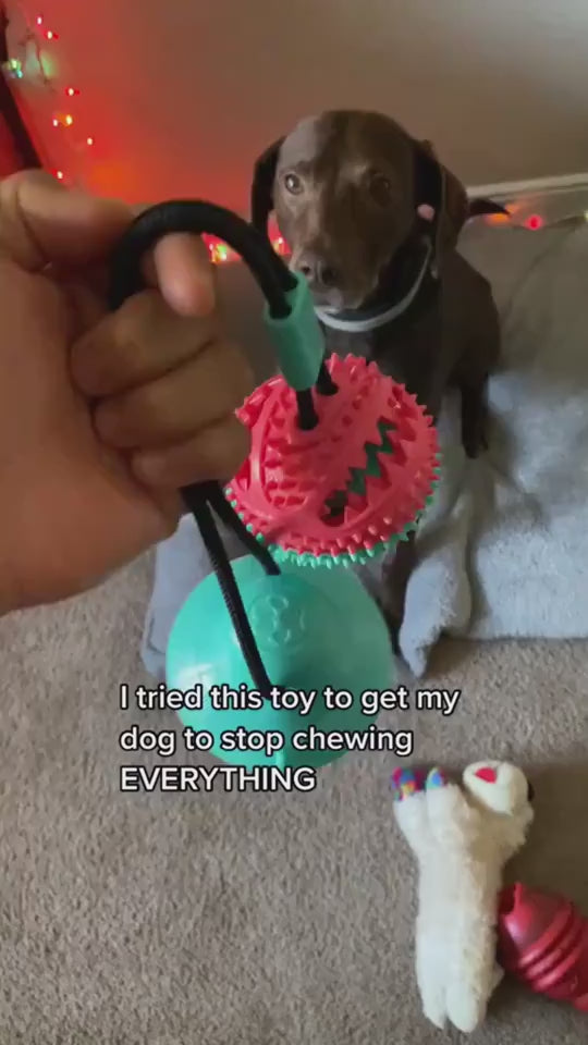 TugClean – Suction Cup Dog Toy with Chew & Toothbrush Ball Overview: Many dogs suffer from bad breath and periodontitis due to poor oral hygiene, but chew toy can rub off the tartar and make your dog's teeth healthier. It enhances the dog's enthusiasm, an