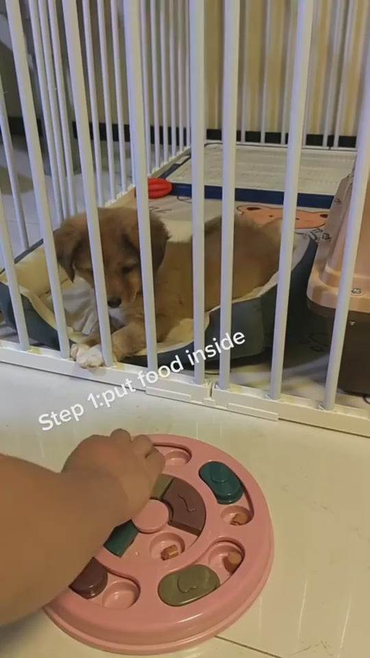 BrainPaw Puzzle Feeder Overview: - Made of safe and non-toxic quality material, it's wear-resistant, resistant to bite, not easy to age. - The pet puzzle feeder toy is easy to clean and durable. - It can slow down feeding to prevent overeating and help to