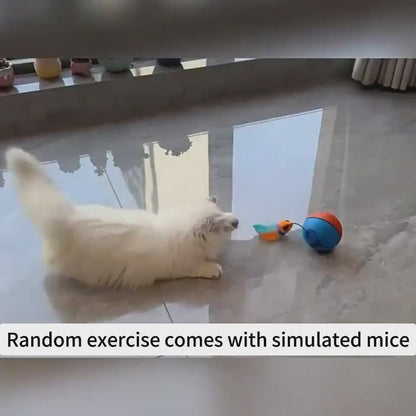 ChaseMate Overview: [Durable And Safe] - Made of ABS and plush materials to ensure pet health and safety. [Mouse Design] - Comes with a plush mouse to stimulate the cat's hunting nature, improving curiosity and increasing interaction. [Stress Reduction] -