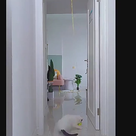 HangMouse™ Product information: Product name: Swing cat toy Specifications: about 2 meters in length Product material: feather, elastic rope, polyester ball, sticky hook, etc. Packing list: Funny cat stick*1 Cat Toys