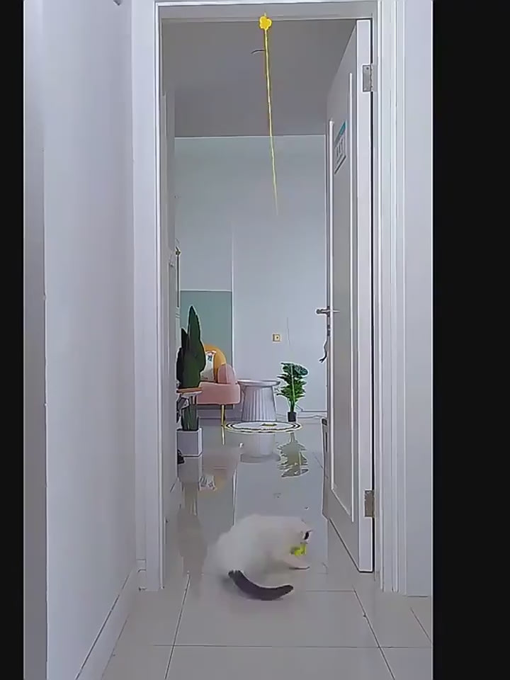 HangMouse™ Product information: Product name: Swing cat toy Specifications: about 2 meters in length Product material: feather, elastic rope, polyester ball, sticky hook, etc. Packing list: Funny cat stick*1 Cat Toys