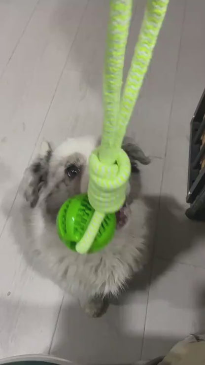SnackRope – Interactive Leaking Ball for Chewing & Cleaning Teeth Overview: 1. Rubber balls and dog bite chew balls keep your dog's teeth and gums clean and healthy. 2. The surface protrudes from the particles, which can grind teeth and protect the oral h