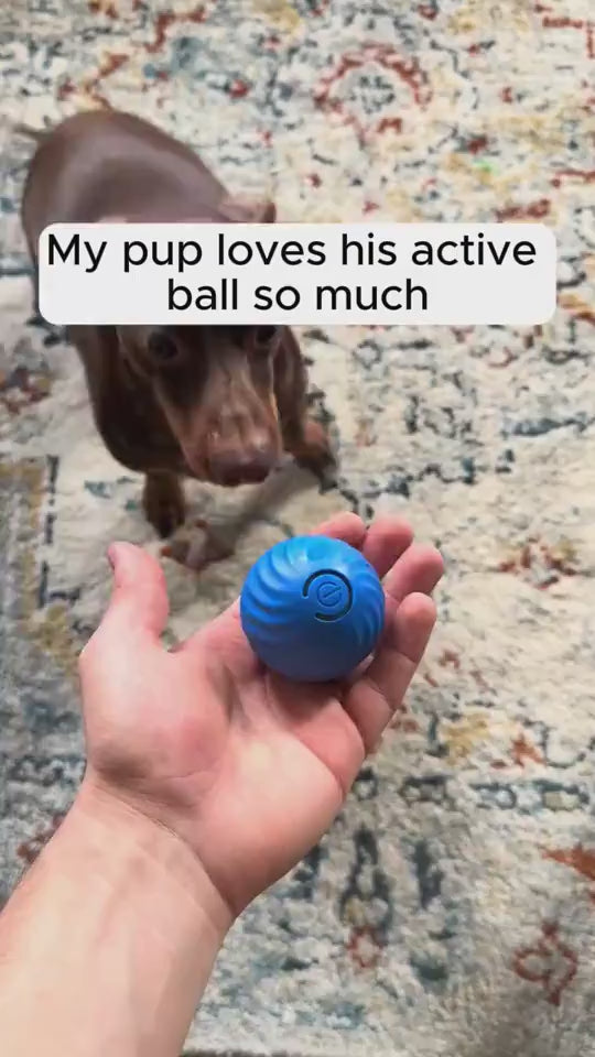 SnackSmart™ Smart Bouncing Dog Ball – Fun, Exercise & Mental Stimulation in One! Keep your pup entertained and active with our Smart Jumping Ball for Dogs – the ultimate boredom buster that combines interactive play, safe materials, and vibrant colors to