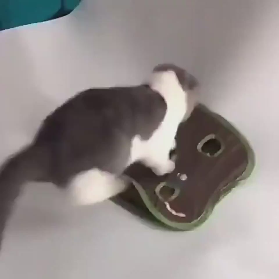 PawMaze Overview: 1. Designed with a ball and mouse tucked away inside, the nine-hole interactive cat toys increase your cat's curiosity, it will have a lot of fun poking at the mouse & ball inside. Great for multiple cats 2. These cat toys will also stim