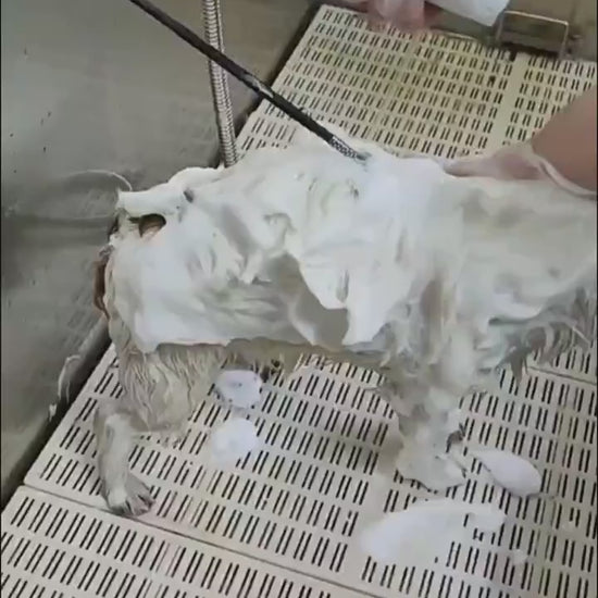 FoamPaws Electric Bath Brush Overview: MATERIAL: The dog bath brush is made of silicone, which has the advantages of high-temperature resistance, easy cleaning, and quick drying. Our pet bath brush gives you and your dog or cat a good interaction to massa