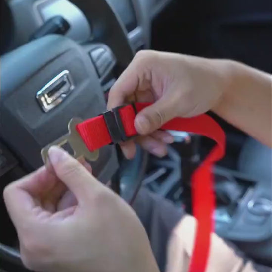 SureGrip Dog Strap Keep Your Pet Safe and Secure While You Drive! ✔️ Key Benefits: Simple & Quick to Use Just clip one end of the seatbelt to your pet’s harness, and snap the other into your car’s seatbelt buckle—just like a regular seatbelt! Its adjustab