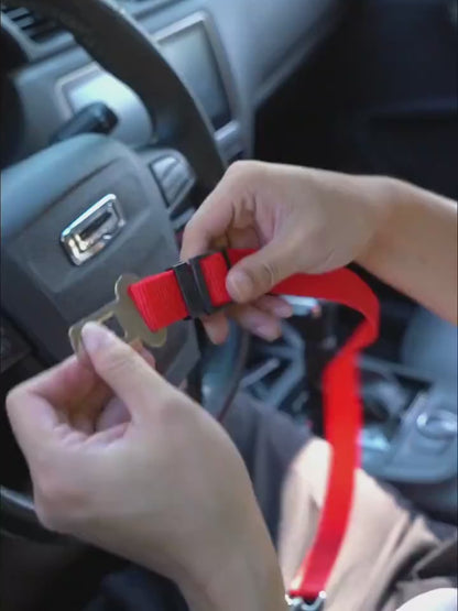SureGrip Dog Strap Keep Your Pet Safe and Secure While You Drive! ✔️ Key Benefits: Simple & Quick to Use Just clip one end of the seatbelt to your pet’s harness, and snap the other into your car’s seatbelt buckle—just like a regular seatbelt! Its adjustab