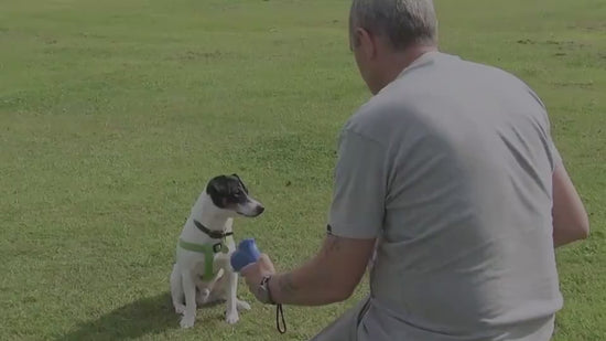 PawZap Treat Launcher Overview: It comes with a wrist strap, that makes it very portable. The handle is designed to give you a comfortable grip. Perfect for dogs and cats, easy to load and fun to use. This toy is great interactive fun for you and your dog