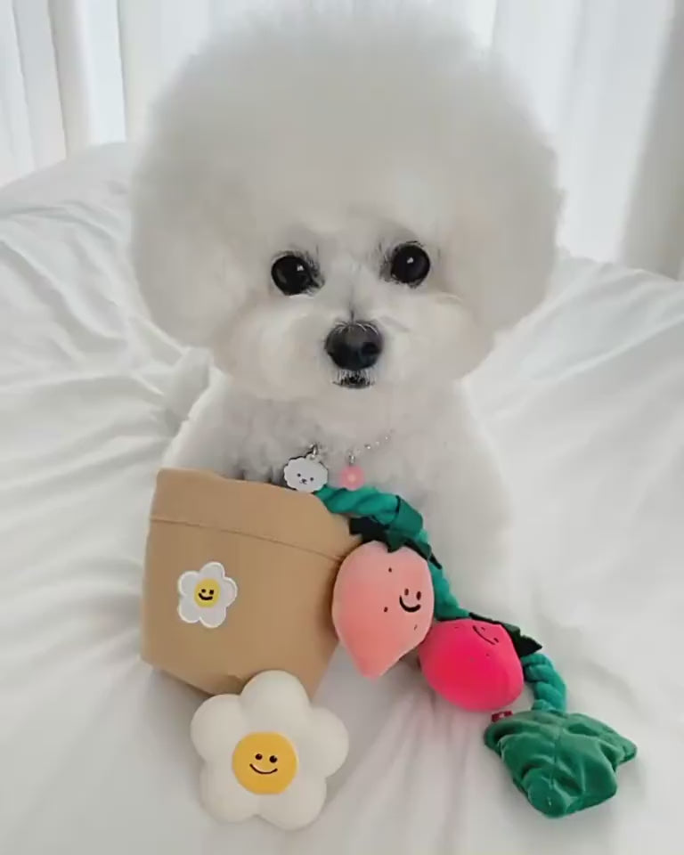 BerryPot™ – Sniff & Pull Dog Treat Toy Product information: Product category: Tibetan food toys Material: plush Product name: Strawberry potted plant set toy Size information: Packing list : Pet hidden food toys*1 Product picture: Dog Toys
