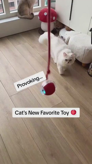 Interactive Cat Toy Ball Super Drive Cat Rolling Ball Overview: Strong driver - The cat toys could easily go across from ceramic tile, wooden, low rugs even high pile carpet, It rarely get stuck in corners, helping you entertain a high-energy cat for hour