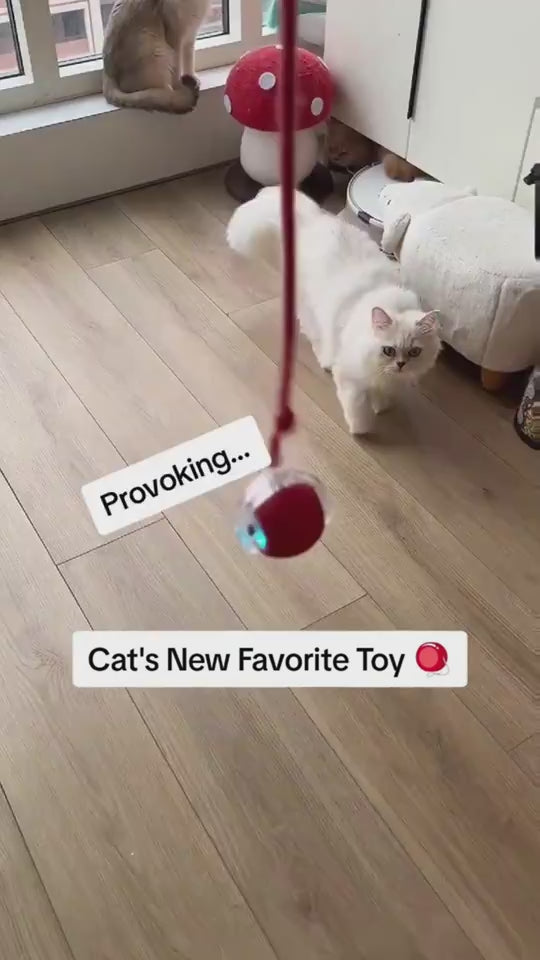 Interactive Cat Toy Ball Super Drive Cat Rolling Ball Overview: Strong driver - The cat toys could easily go across from ceramic tile, wooden, low rugs even high pile carpet, It rarely get stuck in corners, helping you entertain a high-energy cat for hour