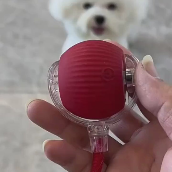 Interactive Cat Toy Ball Super Drive Cat Rolling Ball Overview: Strong driver - The cat toys could easily go across from ceramic tile, wooden, low rugs even high pile carpet, It rarely get stuck in corners, helping you entertain a high-energy cat for hour