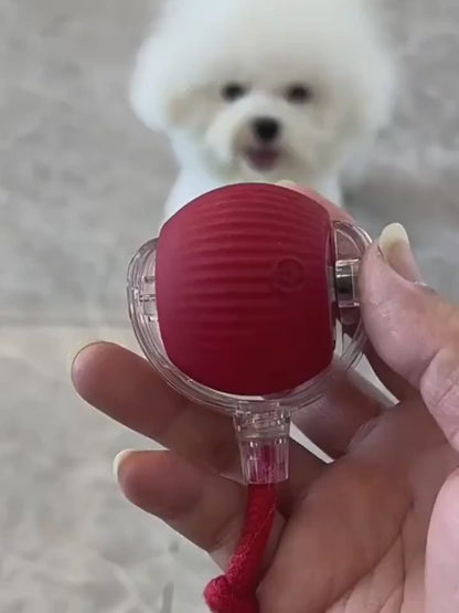 Interactive Cat Toy Ball Super Drive Cat Rolling Ball Overview: Strong driver - The cat toys could easily go across from ceramic tile, wooden, low rugs even high pile carpet, It rarely get stuck in corners, helping you entertain a high-energy cat for hour