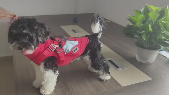 Winter Cotton Dog Jacket – Warm Zipper Coat for Pets Product information: Material: polyester Product: category cotton-padded clothes Style: Casual Color: DZ270 black, DZ271 red, DZ272 army green, DZ273 blue, DZ274 red, DZ275 army green, DZ276 black, DZ27