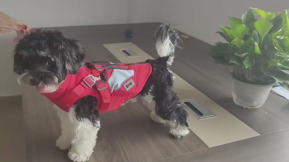 Winter Cotton Dog Jacket – Warm Zipper Coat for Pets Product information: Material: polyester Product: category cotton-padded clothes Style: Casual Color: DZ270 black, DZ271 red, DZ272 army green, DZ273 blue, DZ274 red, DZ275 army green, DZ276 black, DZ27