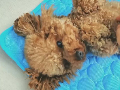 Cooling Ice Silk Pet Bed – Summer Nest for Dogs & Cats Overview: 1. Cool, comfortable, durable and pet-friendly 2. Provide instant cooling effect 3. Suitable for pets of all sizes 4. Use this simple and effective pet cooling pad to help your pet withstand