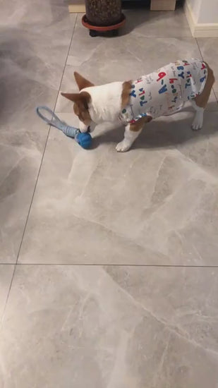 SnackRope – Interactive Leaking Ball for Chewing & Cleaning Teeth Overview: 1. Rubber balls and dog bite chew balls keep your dog's teeth and gums clean and healthy. 2. The surface protrudes from the particles, which can grind teeth and protect the oral h