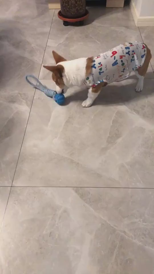 SnackRope – Interactive Leaking Ball for Chewing & Cleaning Teeth Overview: 1. Rubber balls and dog bite chew balls keep your dog's teeth and gums clean and healthy. 2. The surface protrudes from the particles, which can grind teeth and protect the oral h