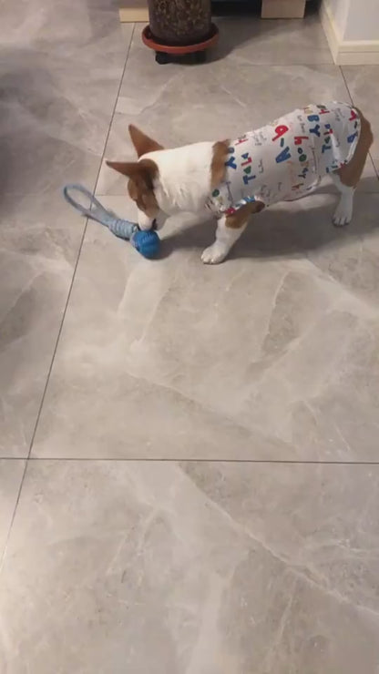SnackRope – Interactive Leaking Ball for Chewing & Cleaning Teeth Overview: 1. Rubber balls and dog bite chew balls keep your dog's teeth and gums clean and healthy. 2. The surface protrudes from the particles, which can grind teeth and protect the oral h