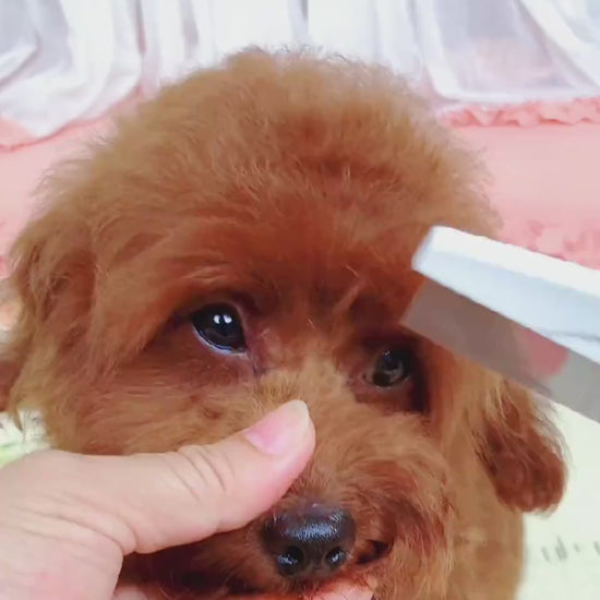FleaFine™ Pet Comb Product Name: With handle in addition to flea comb Product color: white Product specifications: small (full length 14CM width 3CM) needle row (long 5CM needle length 1CM) Large (full length 18CM wide 4.5CM) needle row (length 6.5CM need