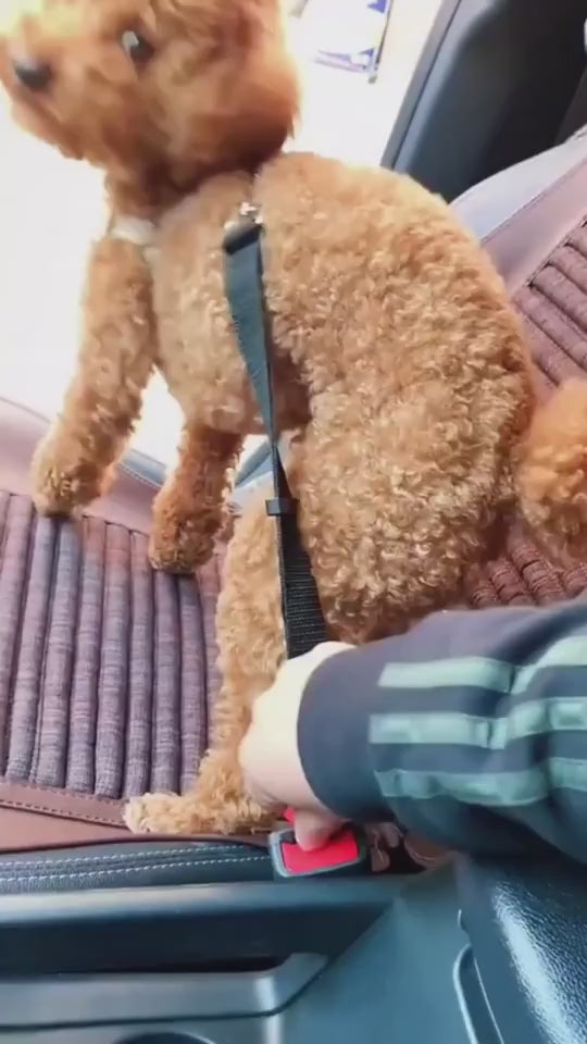 SafeRide Overview: Keep you and your dog/cat safe while driving. The pet can sit, lay or stand comfortably in the car. Made of high-quality nylon fabric to ensure safety, features the solid zinc alloy swivel snap and metal buckles guarantee extra durabili