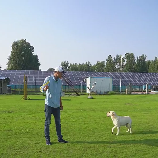 TugToss™ Overview 1. This is a pet toy that interacts with the main pet and integrates multiple functions such as automatic telescopic hand throwing ball, pet yo-yo, molar ball and so on. This toy can bring more fun to the dog. 2. The hand throwing ball h