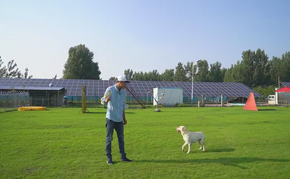 TugToss™ Overview 1. This is a pet toy that interacts with the main pet and integrates multiple functions such as automatic telescopic hand throwing ball, pet yo-yo, molar ball and so on. This toy can bring more fun to the dog. 2. The hand throwing ball h