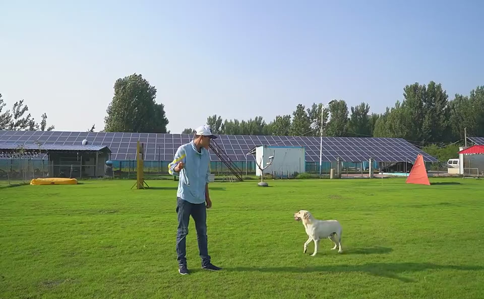 TugToss™ Overview 1. This is a pet toy that interacts with the main pet and integrates multiple functions such as automatic telescopic hand throwing ball, pet yo-yo, molar ball and so on. This toy can bring more fun to the dog. 2. The hand throwing ball h