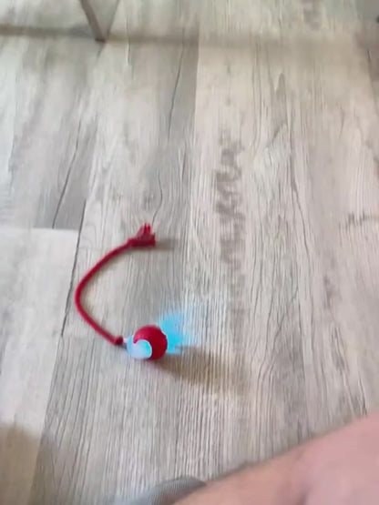 Interactive Cat Toy Ball Super Drive Cat Rolling Ball Overview: Strong driver - The cat toys could easily go across from ceramic tile, wooden, low rugs even high pile carpet, It rarely get stuck in corners, helping you entertain a high-energy cat for hour