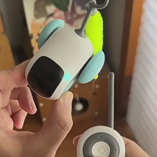 USB Smart Cat Car – Remote Toy for Active Indoor Cats Crazy-Joy Remote Control Car Cat Toy – Hunt, Chase & Play Instincts Unleashed Transform your living room into a feline playground with the Crazy-Joy Car, the ultimate interactive toy that taps into you