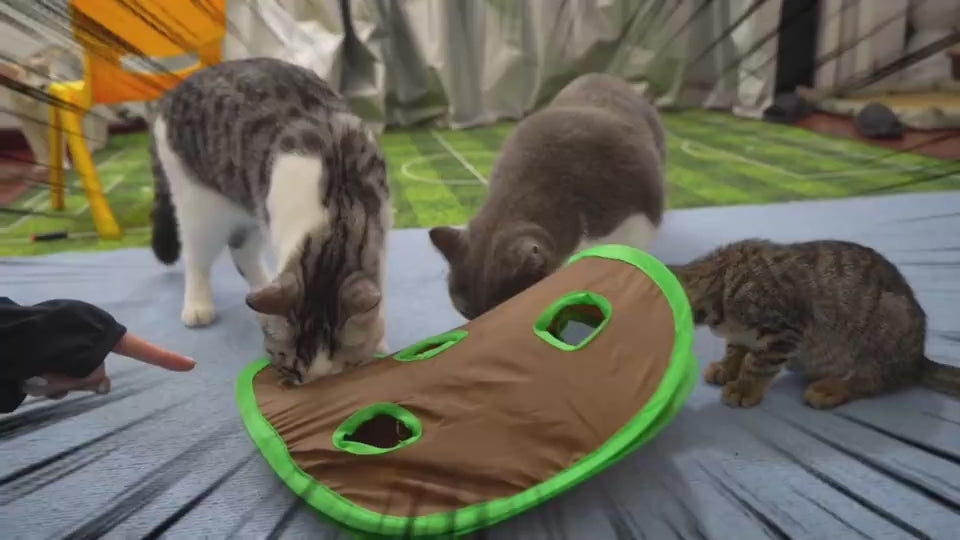 PawMaze Overview: 1. Designed with a ball and mouse tucked away inside, the nine-hole interactive cat toys increase your cat's curiosity, it will have a lot of fun poking at the mouse & ball inside. Great for multiple cats 2. These cat toys will also stim